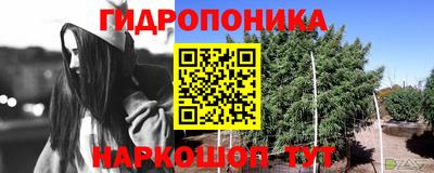 амф Свободный