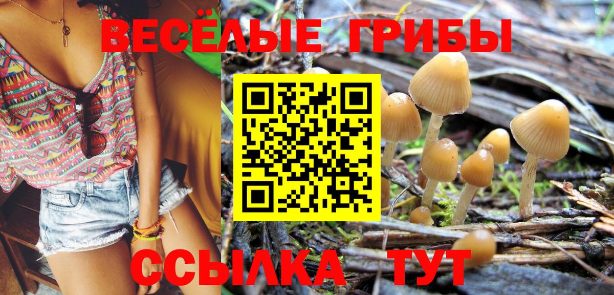 Галлюциногенные грибы GOLDEN TEACHER  Вход с VPN  Туапсе 